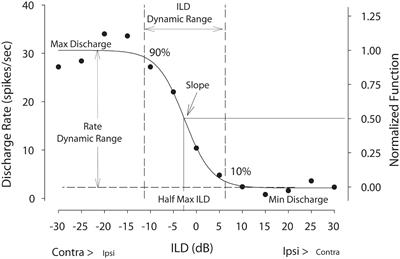 Temporary Unilateral Hearing Loss Impairs Spatial <mark class="highlighted">Auditory Information</mark> Processing in Neurons in the Central Auditory System